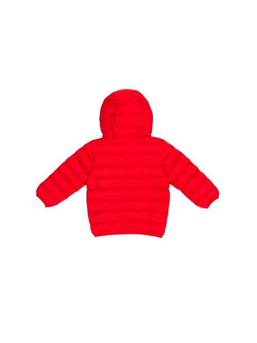 CIESSE Franklin Baby Boy down jacket CIESSE | 216CFBJ015085003XP